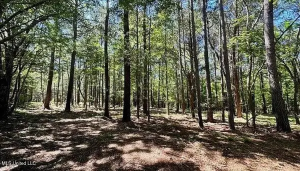 1 Robinson Road, Canton, MS 39046