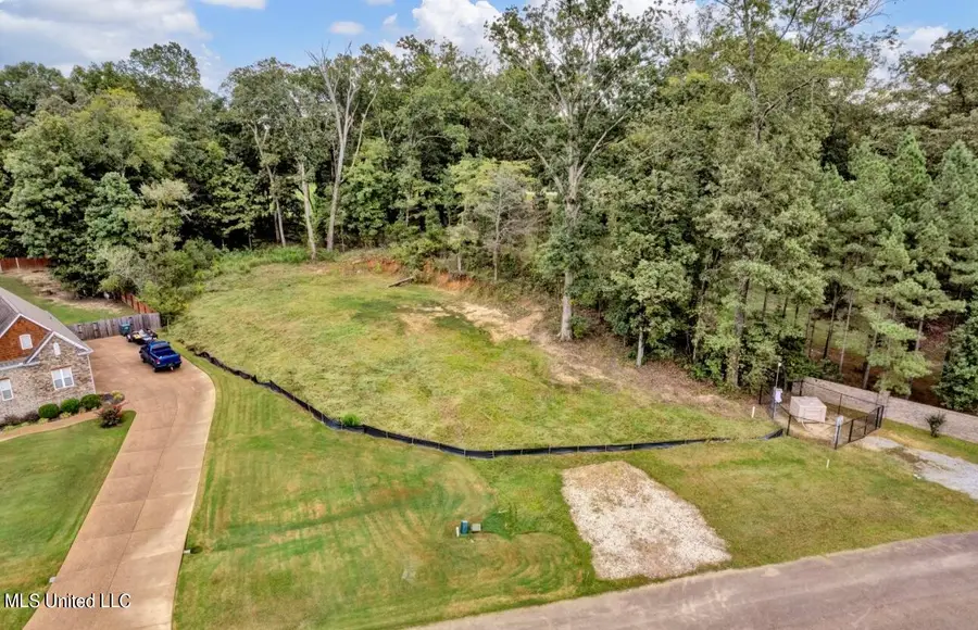 2768 Black Rock Road, Nesbit, MS 38651 - Image #2