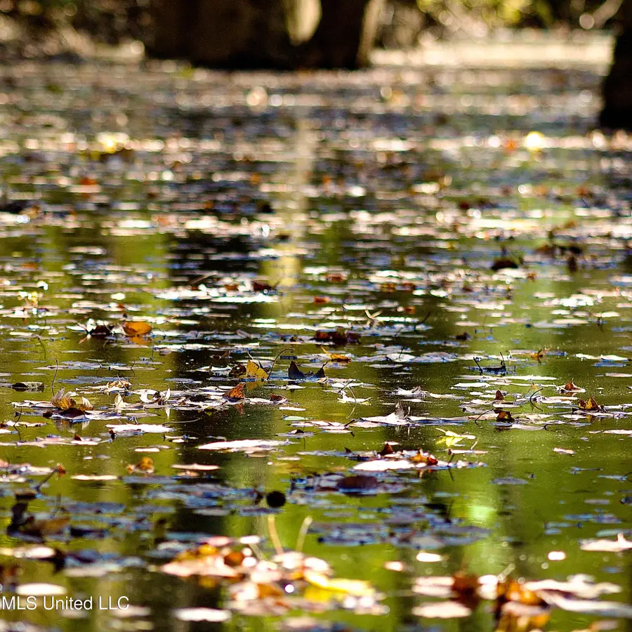 Highway 35 Mississippi 35, Mount Olive, MS 39119 - Image #3