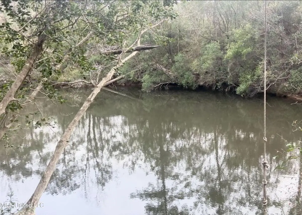 0 Tuxachanie Drive, Biloxi, MS 39532 - #1