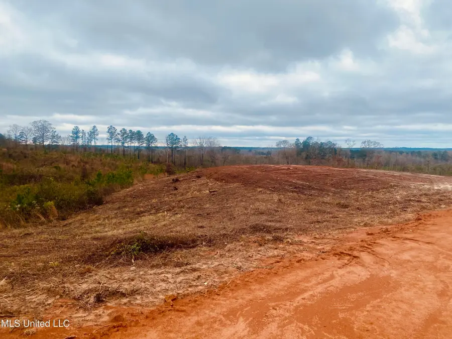 Saint Anne Road, Carthage, MS 39051 - Image #2