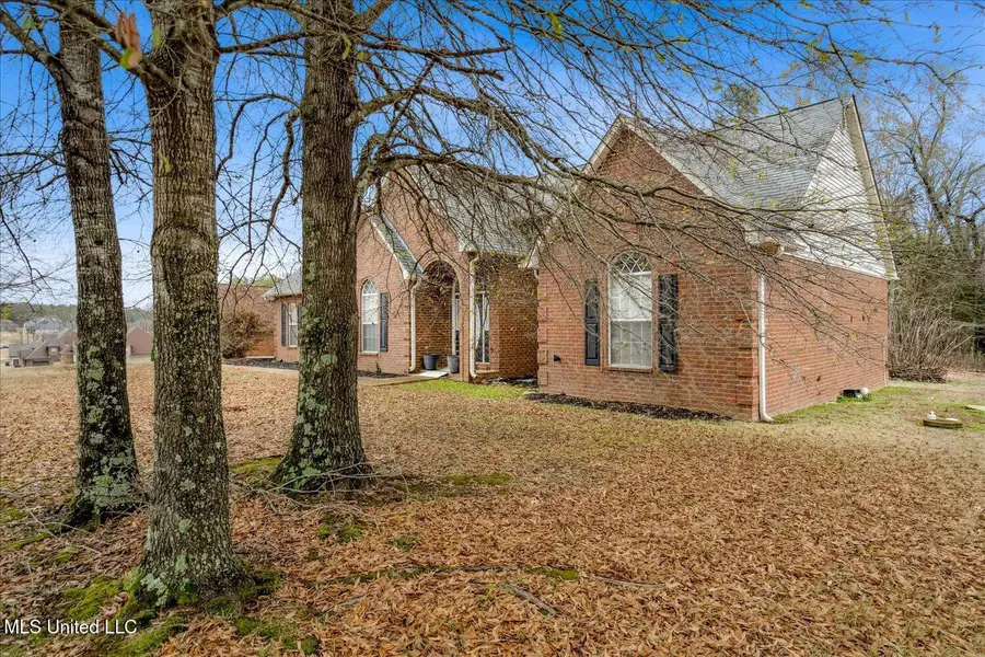 10195 Cypress Plantation Drive, Olive Branch, MS 38654 - Image #3