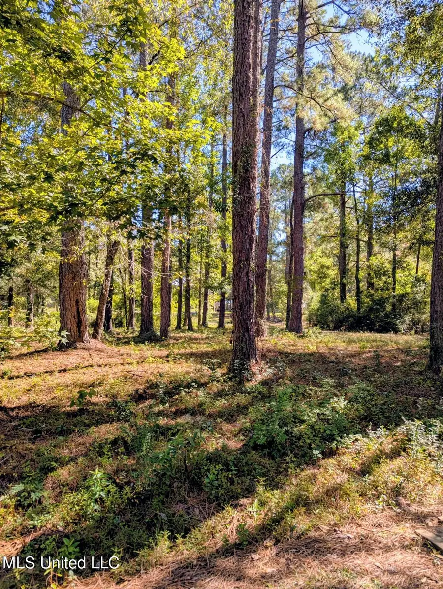 Norrell Drive, Petal, MS 39465 - Image #2