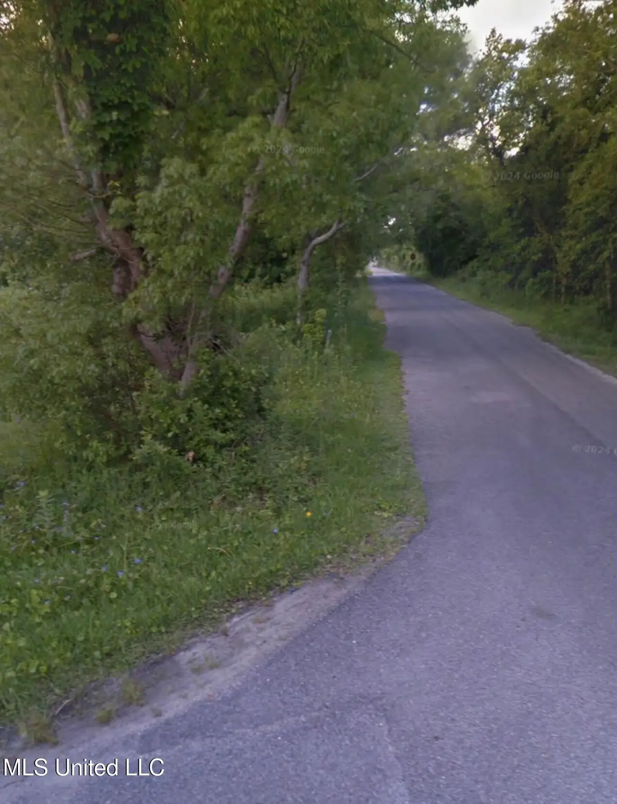 419 Josephine Street, Pass Christian, MS 39571 - #1