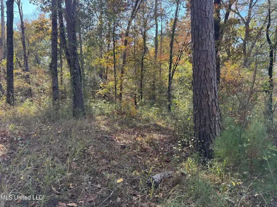 Rosemary Road, Florence, MS 39073 - Image #3