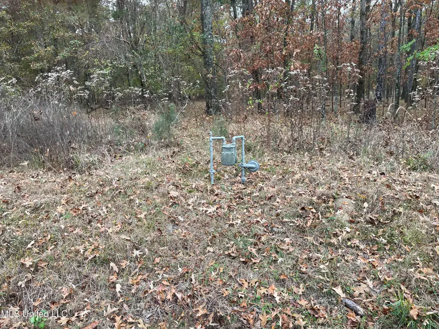 No Old Fannin Road, Jackson, MS 39232 - Image #2