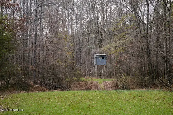 000 Maddox Road, Ackerman, MS 39735