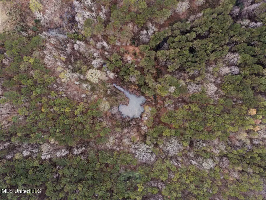 Bright Road, Ackerman, MS 39735 - Image #2