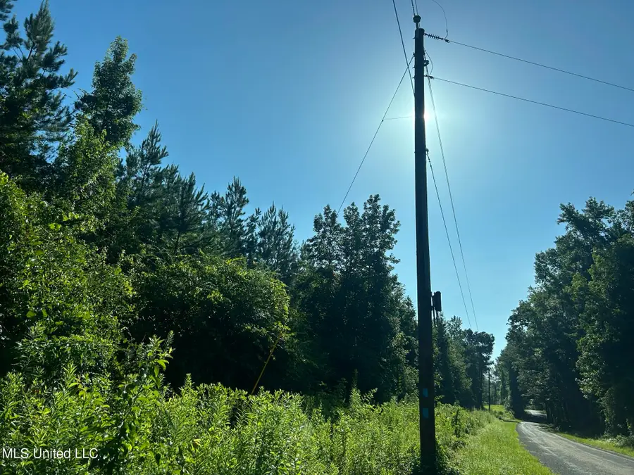 SE Mccullough Road, Bogue Chitto, MS 39629 - Image #3