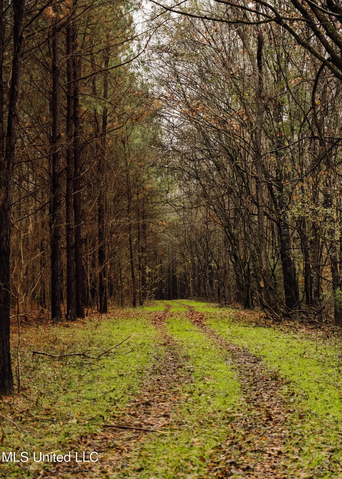 745 Black Jack Road, Benton, MS 39039 - Image #1