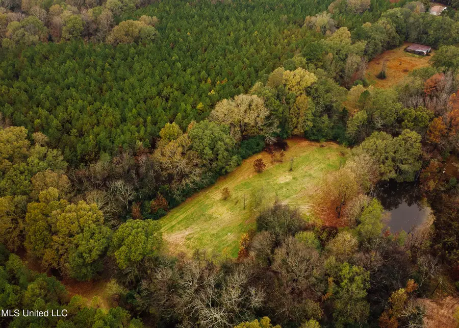 745 Black Jack Road, Benton, MS 39039 - Image #2