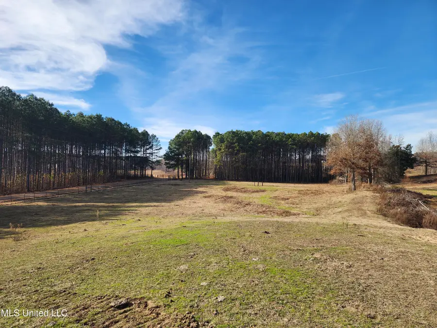 0 Steward Road, Senatobia, MS 38668 - Image #3