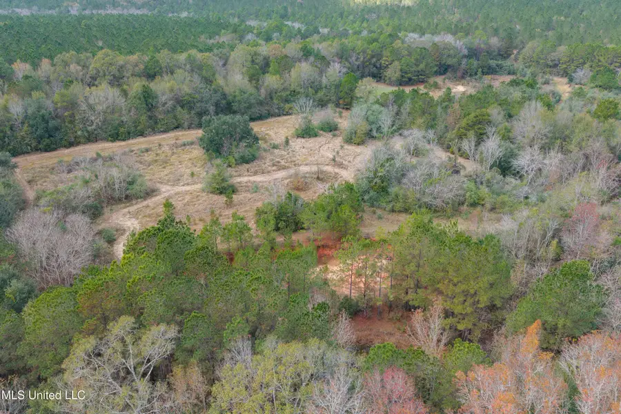 Byrnes Drive, Saucier, MS 39574 - Image #2