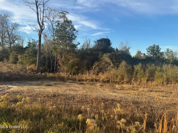 5 Acres Parker Rd, McHenry, MS 39561