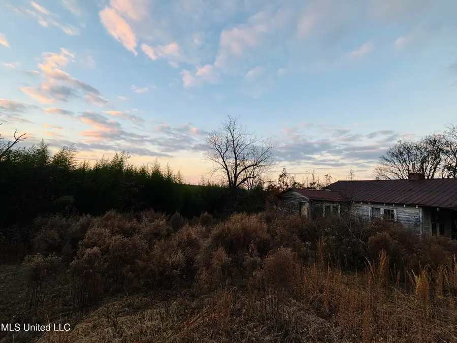 Roger Reid Road, Conehatta, MS 39057 - Image #2
