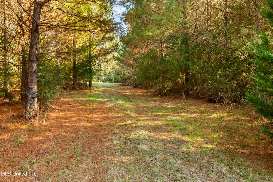 Katie Bush Road, Pinola, MS 39149 - Image #2