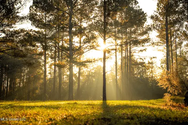 Newton Caney Creek Road, Decatur, MS 39327