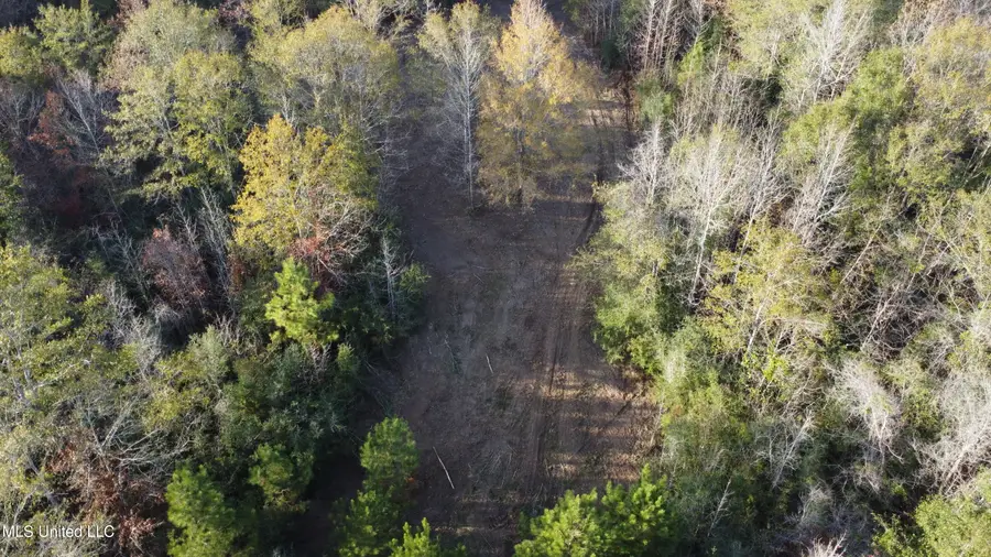 10 Mile Creek Road, Foxworth, MS 39483 - Image #3