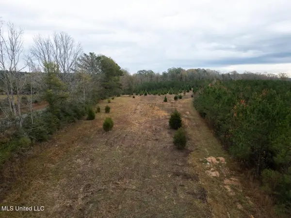 3448 Lower Centreville Road, Liberty, MS 39645