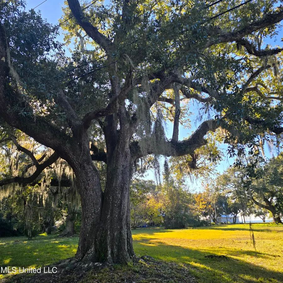 704 Washington Avenue, Pascagoula, MS 39567 - Image #2