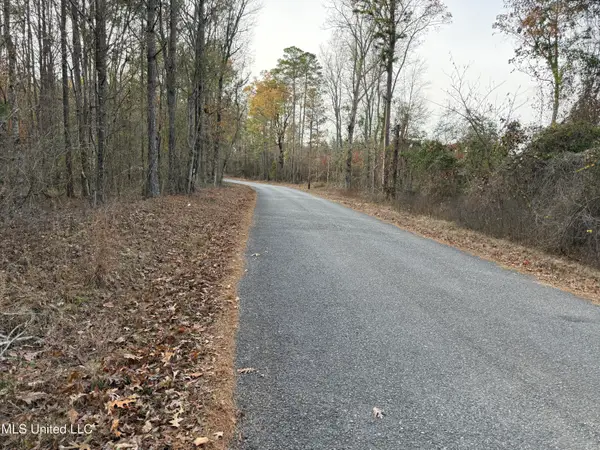 Levi Cooper Road, Braxton, MS 39044
