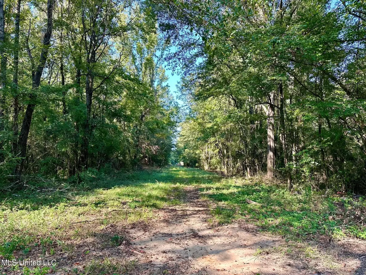 Tbd NE Williams Street, Brookhaven, MS 39601 - Image #1