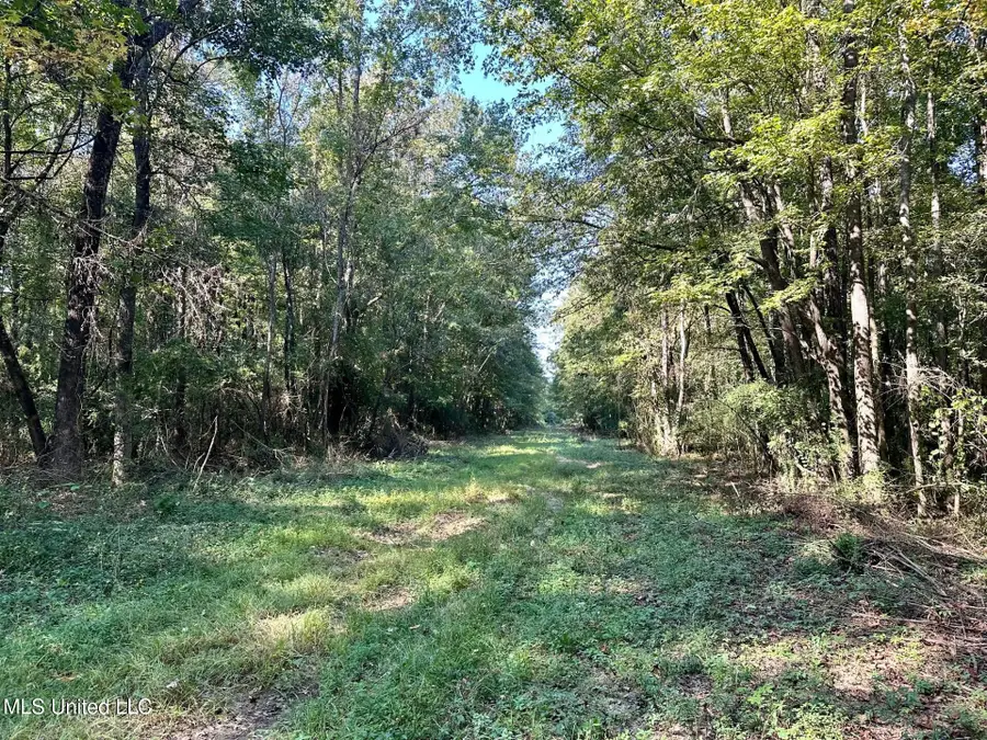 Tbd NE Williams Street, Brookhaven, MS 39601 - Image #2