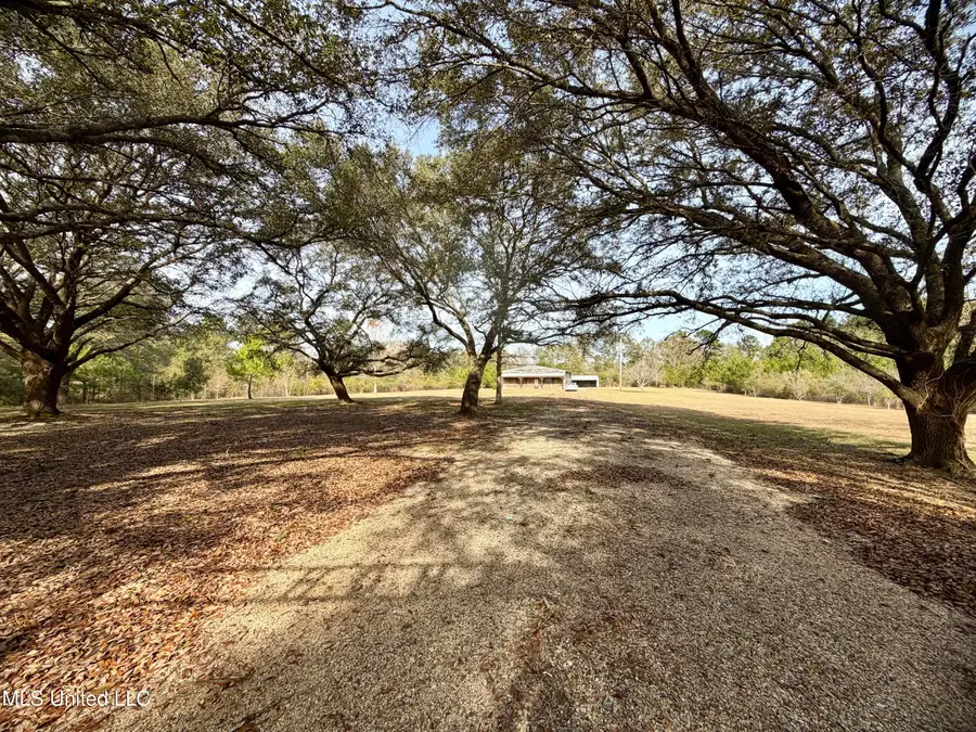 107 Cybur Hills Road, Carriere, MS 39426 - Image #3