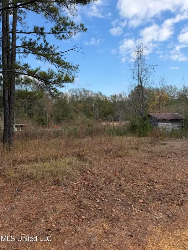 393 SW Cripple Lane, Brookhaven, MS 39601