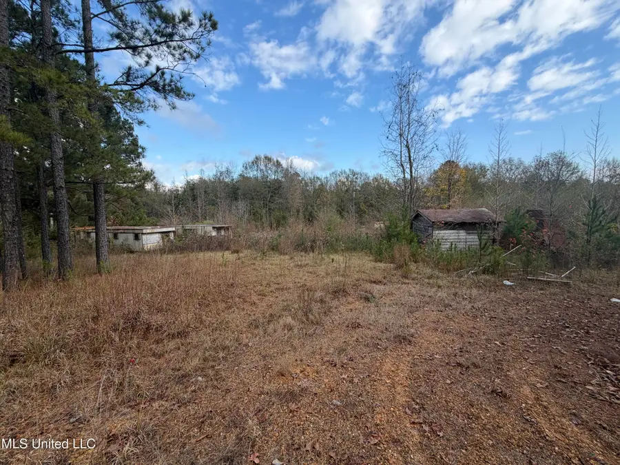 393 SW Cripple Lane, Brookhaven, MS 39601 - Image #3