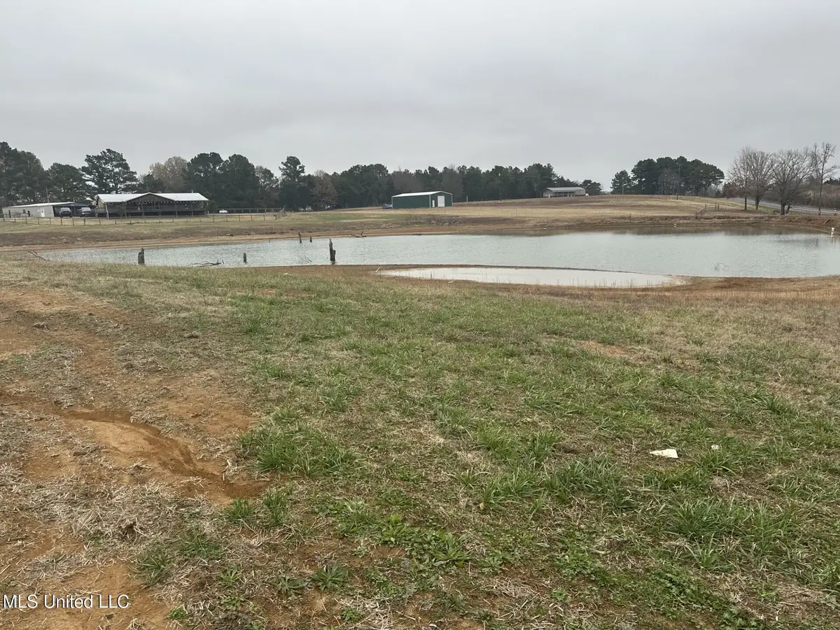 1 Bett Road, Coldwater, MS 38618 - #1