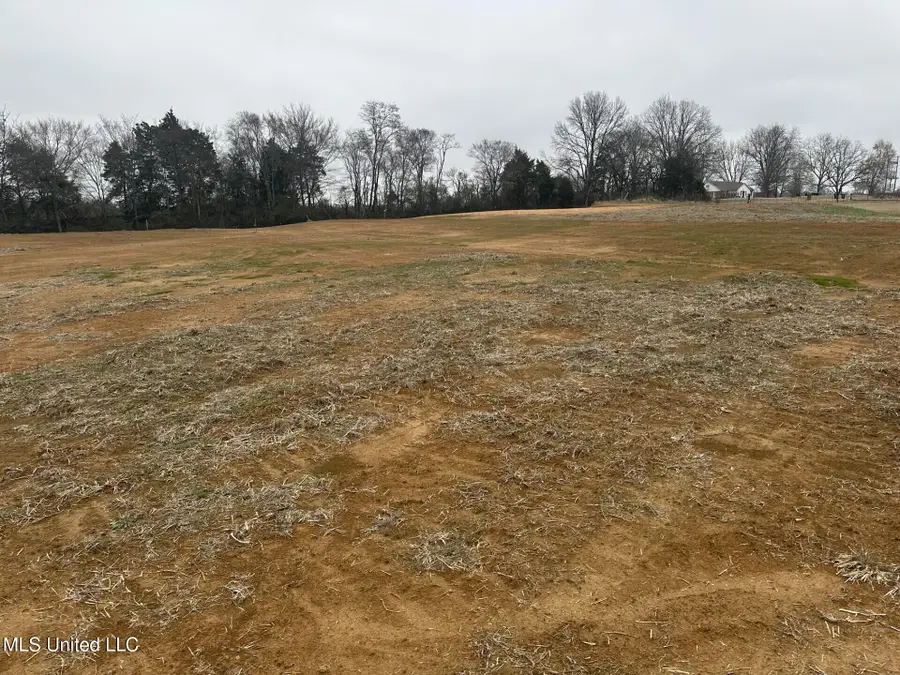 1 Bett Road, Coldwater, MS 38618 - #2