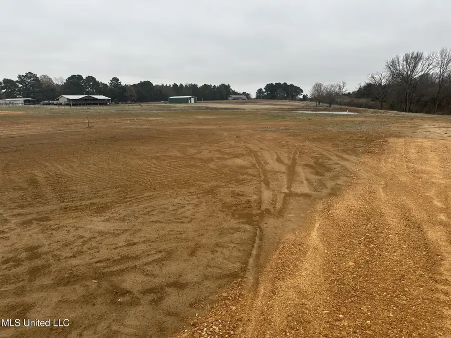 1 Bett Road, Coldwater, MS 38618 - #3