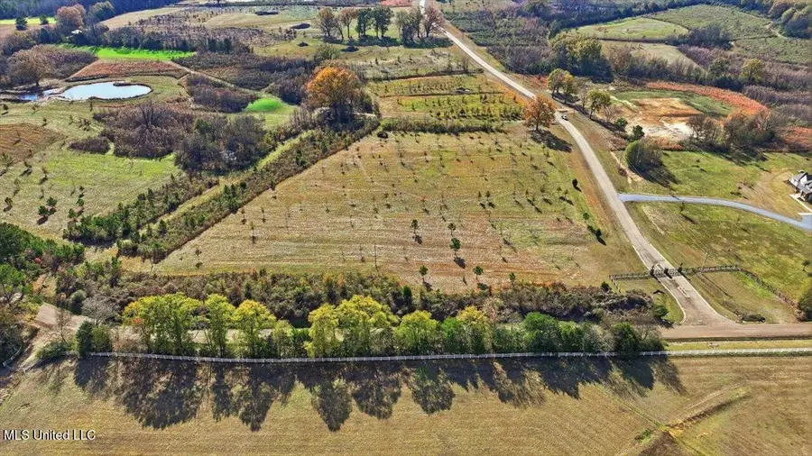 00008 Windermere Boulevard, Madison, MS 39110 - #3