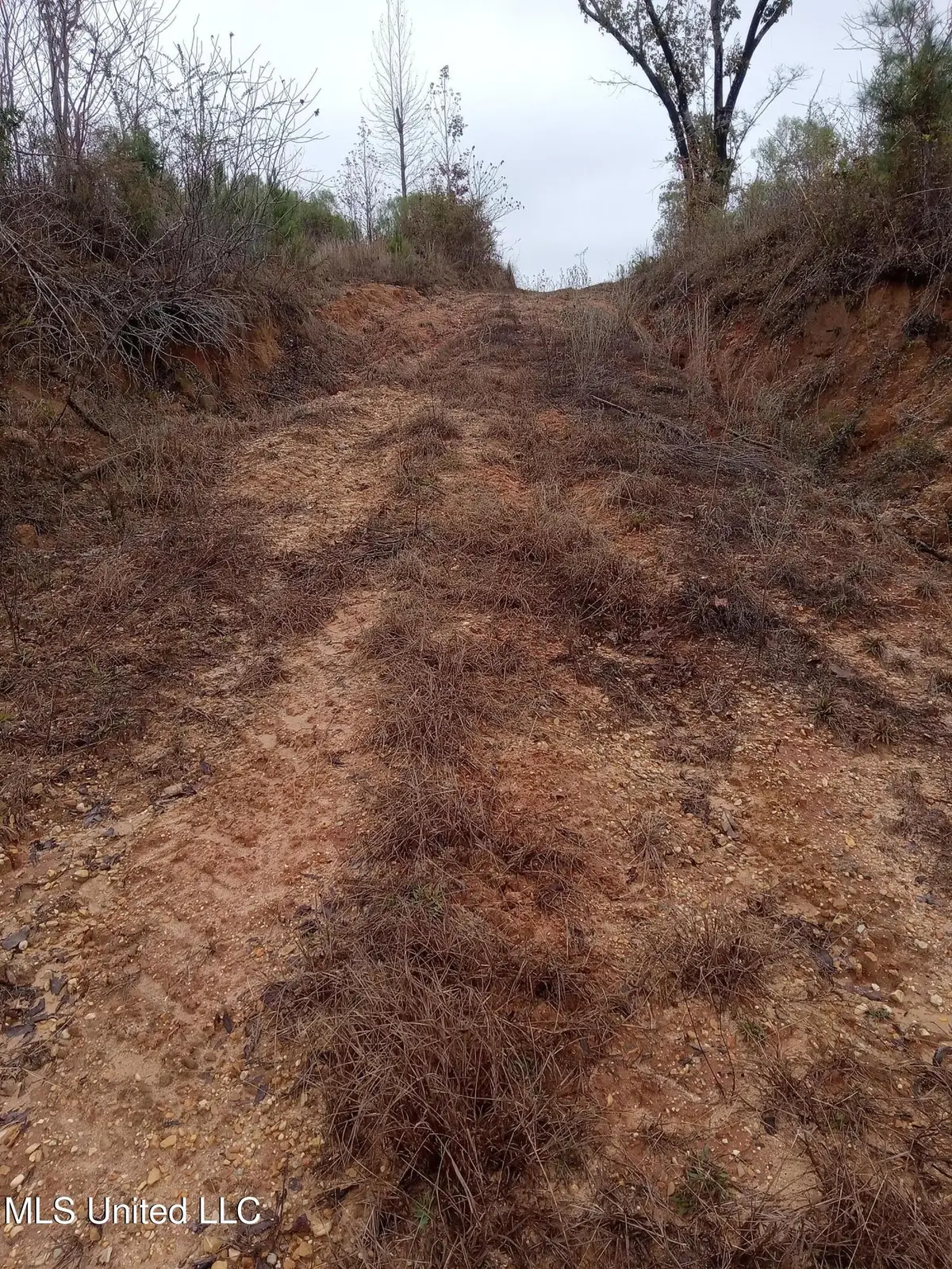 Tbd W Homochitto Road, Gloster, MS 39638 - Image #1