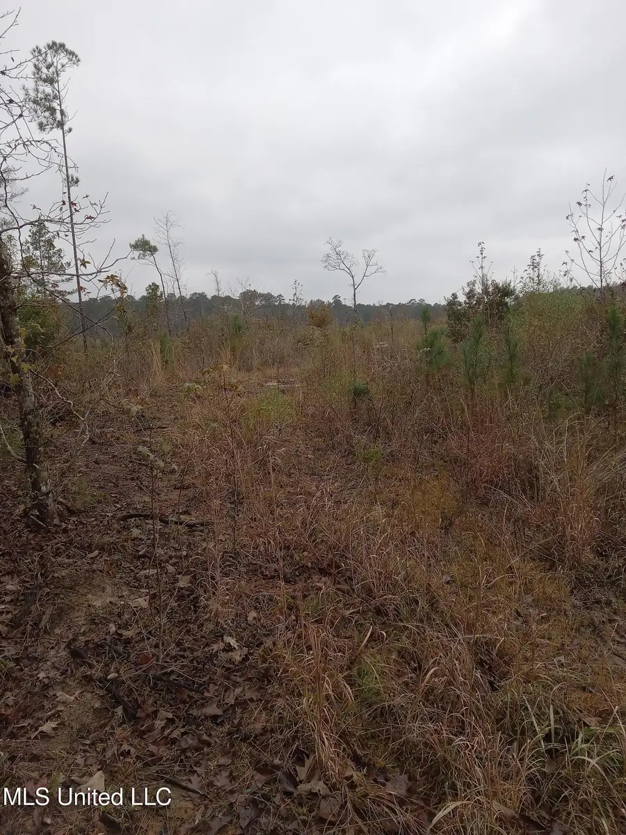 Tbd W Homochitto Road, Gloster, MS 39638 - Image #3