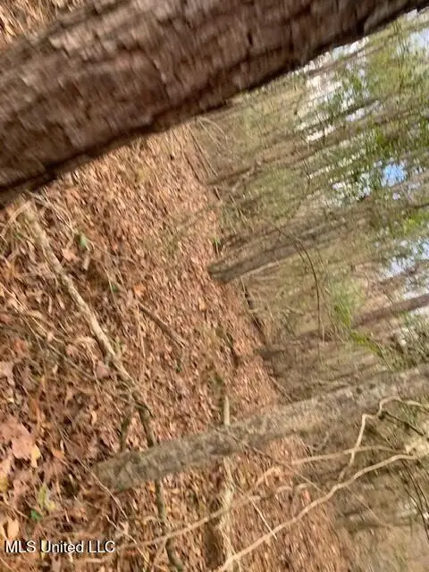 4900 Old Highway 51, Terry, MS 39170 - #3