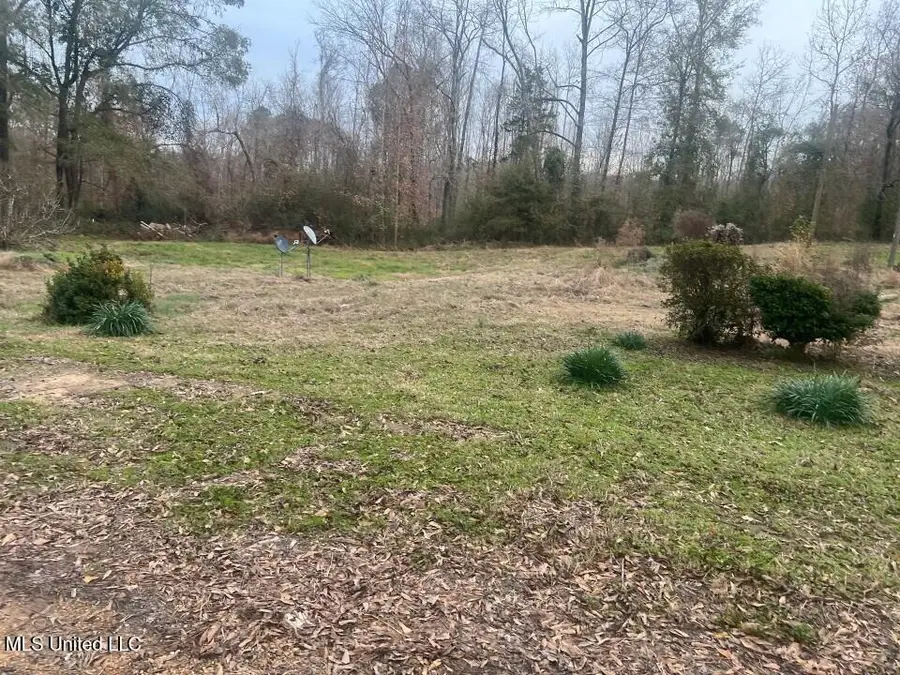 5454 Poplar Hill Road, Fayette, MS 39069 - Image #3