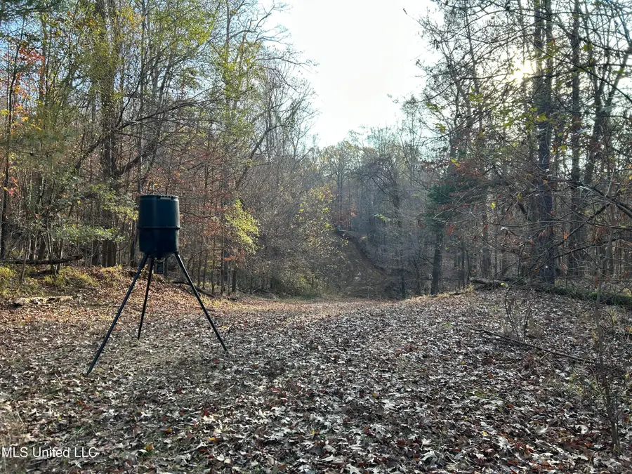 Perry Creek Road, Yazoo City, MS 39194 - #3