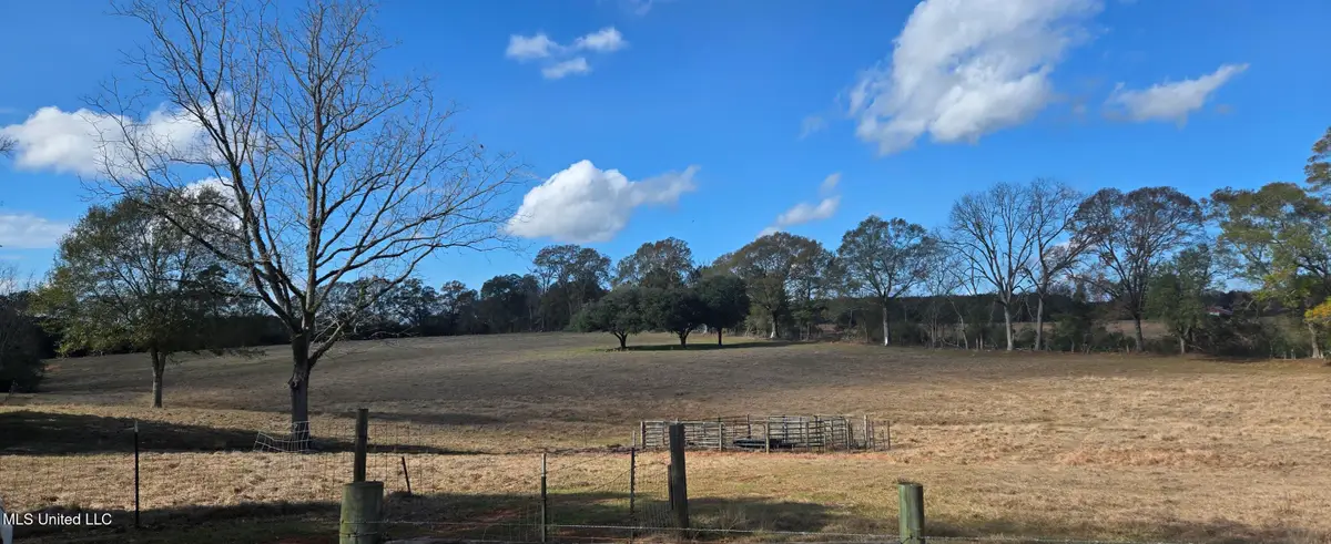 199 Airline Highway, Tylertown, MS 39667 - #1