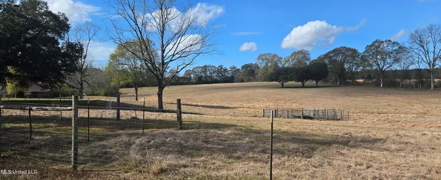 199 Airline Highway, Tylertown, MS 39667 - #3