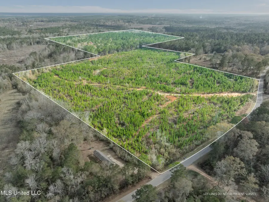 84.50 Acre Carter Guthrie Road, Moselle, MS 39459 - Image #2