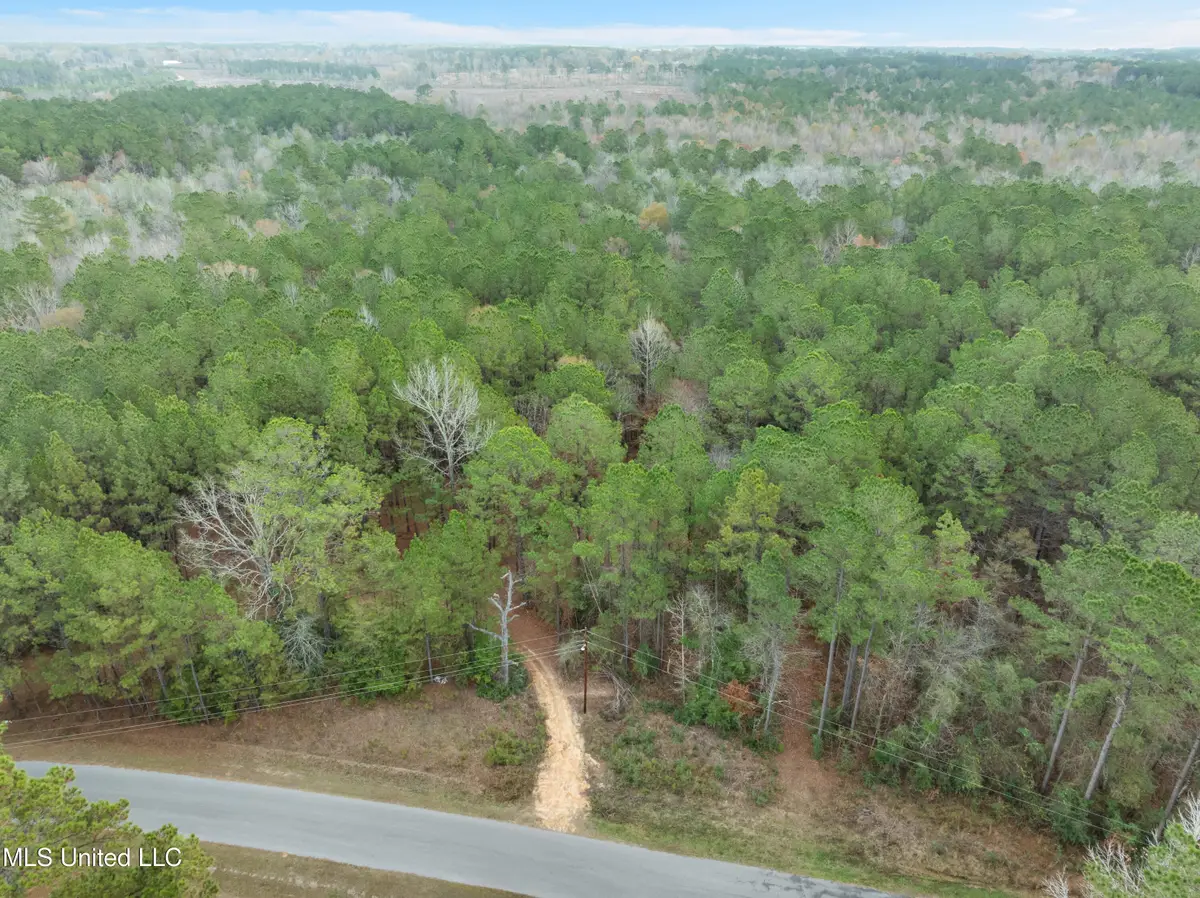 83.50 Acre Carter Guthrie Road, Moselle, MS 39459 - Image #1