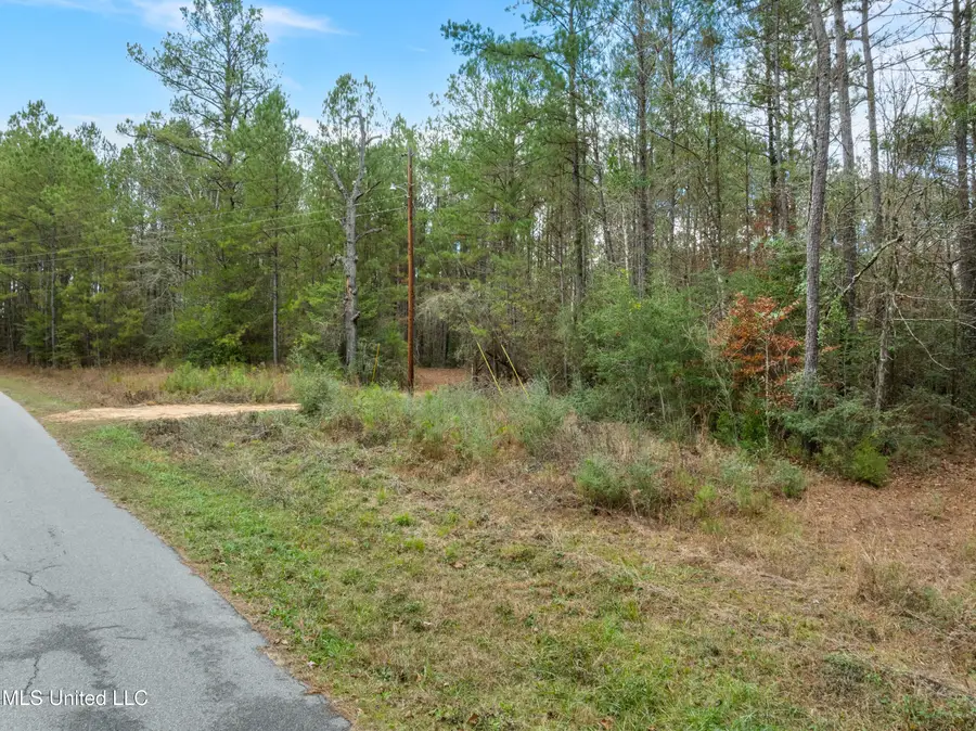 83.50 Acre Carter Guthrie Road, Moselle, MS 39459 - Image #2