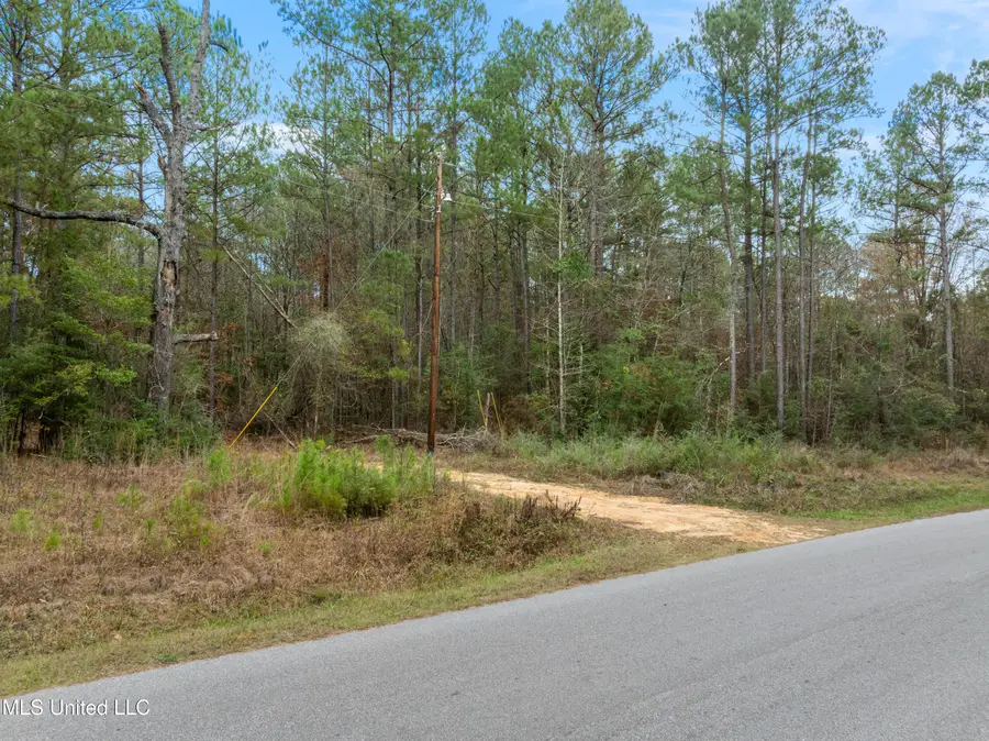 83.50 Acre Carter Guthrie Road, Moselle, MS 39459 - Image #3