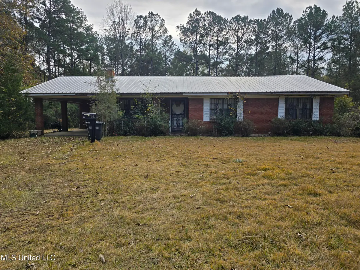 46 Matilda Lane, Newhebron, MS 39140 - Image #1