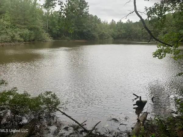 0 37th Street, Meridian, MS 39305