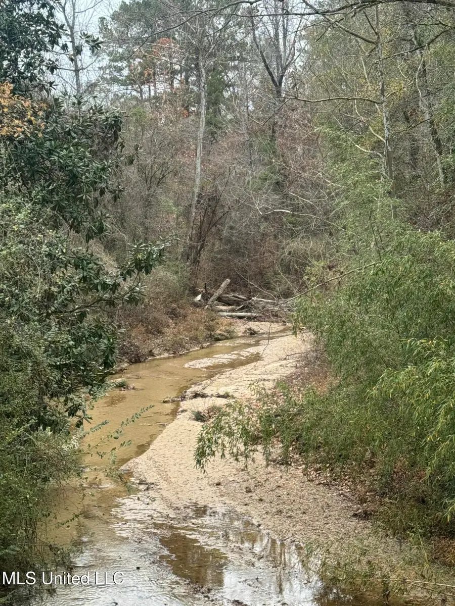 No Parsons Road, McCall Creek, MS 39647 - Image #3