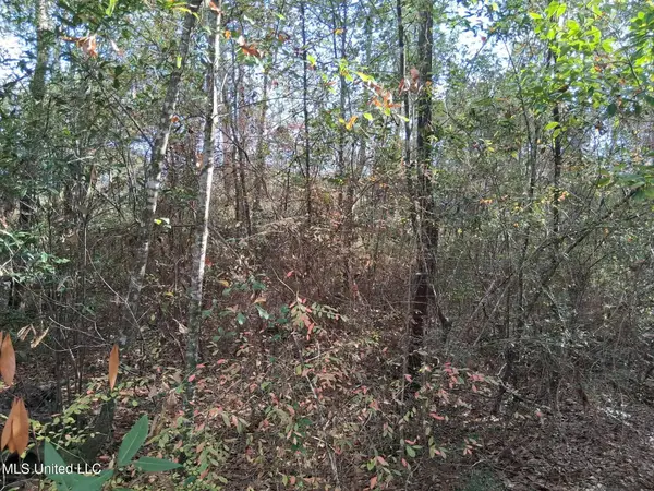 N Whale Avenue, Bay Saint Louis, MS 39520