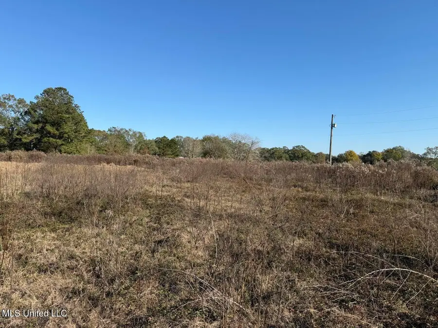 1.79 Acres Crenshaw Road, Lucedale, MS 39452 - Image #2